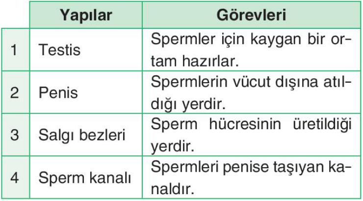 soru gorseli