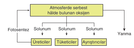 soru gorseli