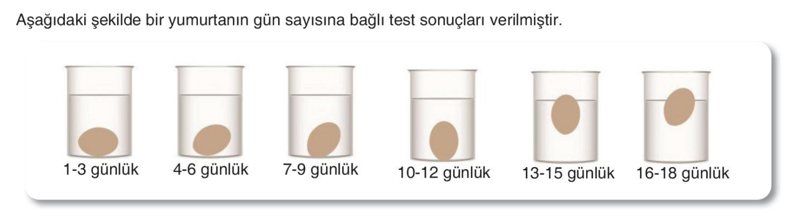 soru gorseli