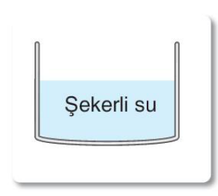 sik gorseli