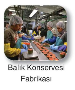 sik gorseli