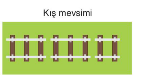 sik gorseli