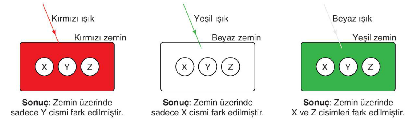 soru gorseli