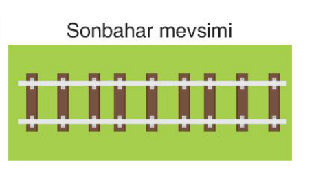 sik gorseli