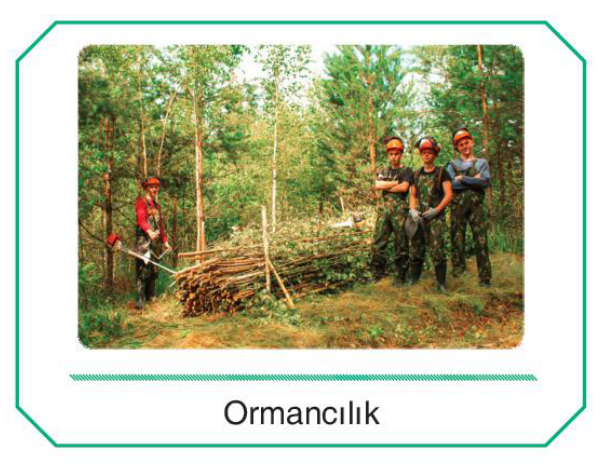 sik gorseli