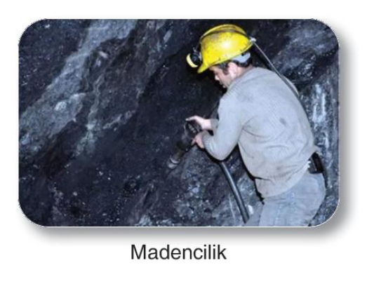 sik gorseli