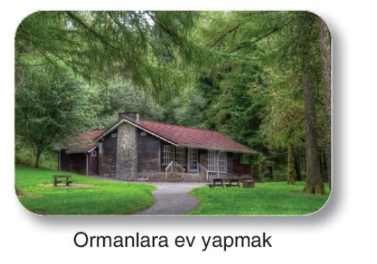 sik gorseli