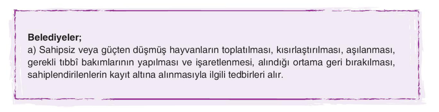 soru gorseli