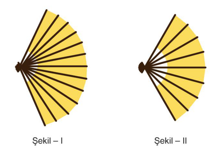 soru gorseli