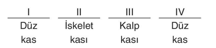 sik gorseli