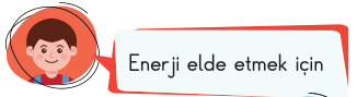 sik gorseli