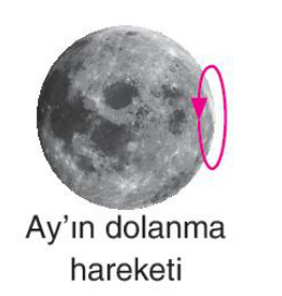sik gorseli