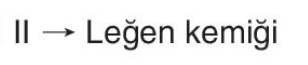 sik gorseli