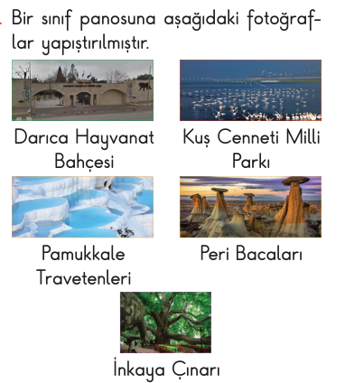 soru gorseli