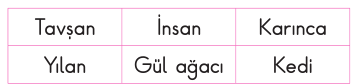 soru gorseli