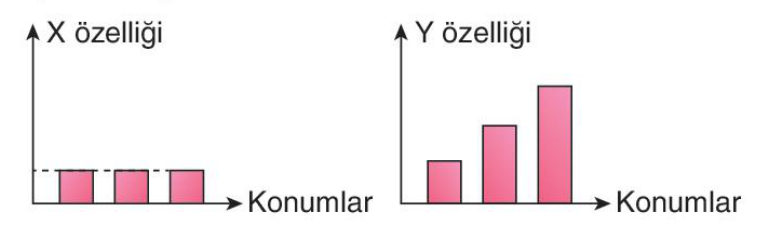 soru gorseli