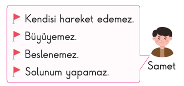 soru gorseli