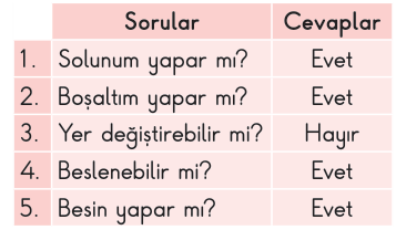 soru gorseli