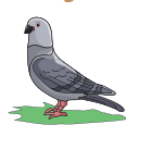sik gorseli