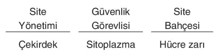 sik gorseli
