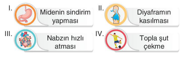 soru gorseli