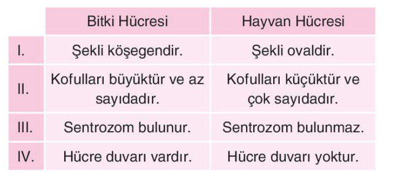 soru gorseli