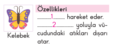 soru gorseli