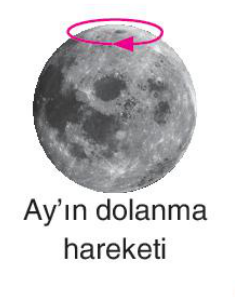 sik gorseli