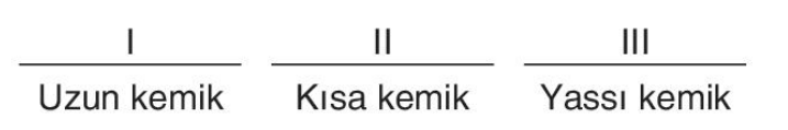 sik gorseli