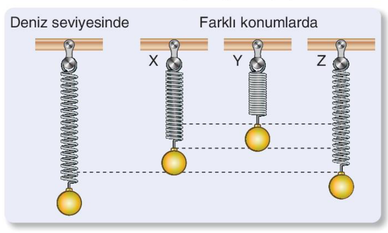 soru gorseli