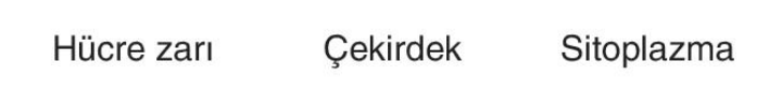 sik gorseli