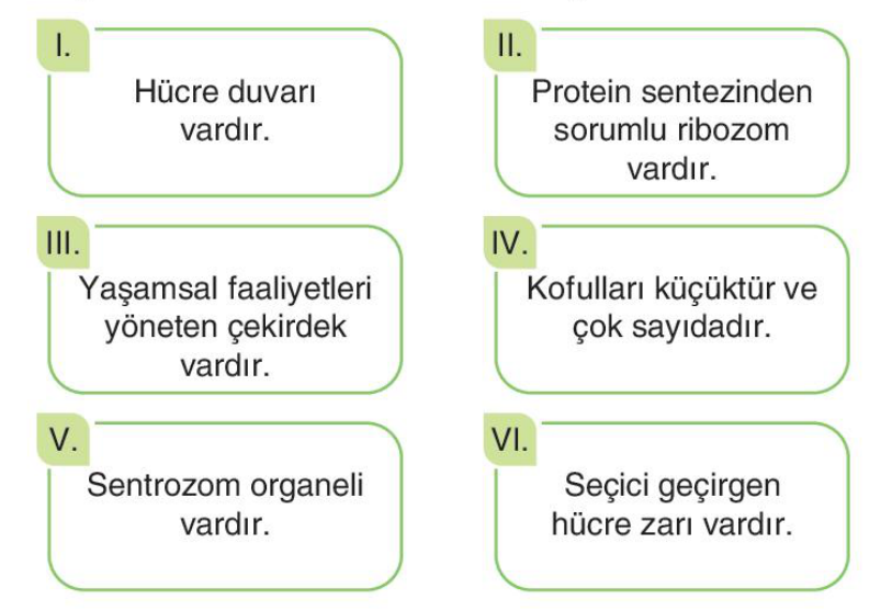 soru gorseli