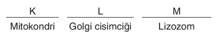 sik gorseli