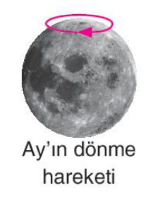 sik gorseli