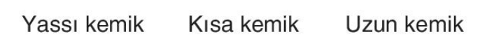 sik gorseli