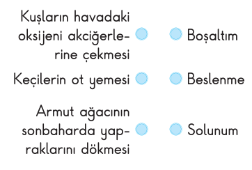 soru gorseli
