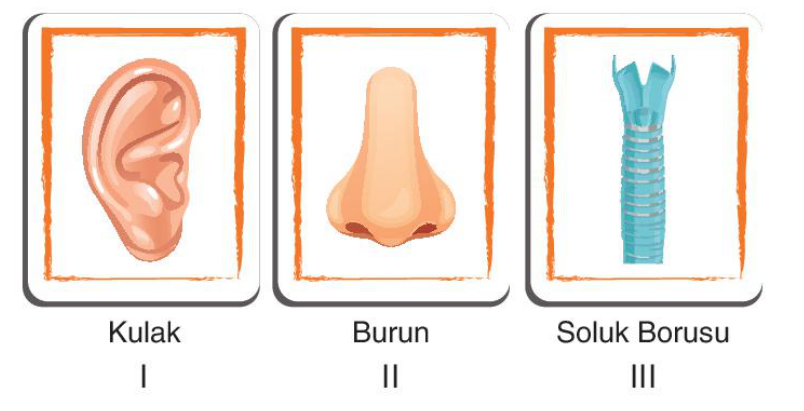 soru gorseli