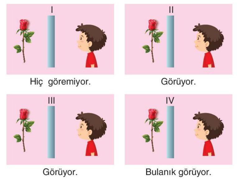 soru gorseli