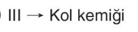 sik gorseli