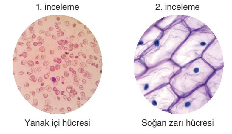 soru gorseli