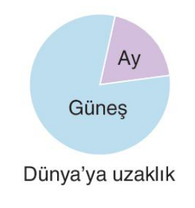 sik gorseli