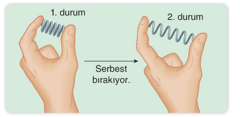 soru gorseli