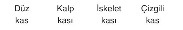 sik gorseli