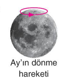sik gorseli