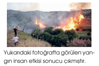 soru gorseli
