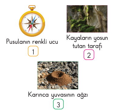 soru gorseli
