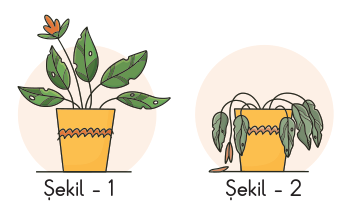 soru gorseli