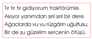 soru gorseli