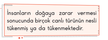 soru gorseli