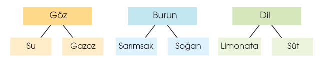 soru gorseli